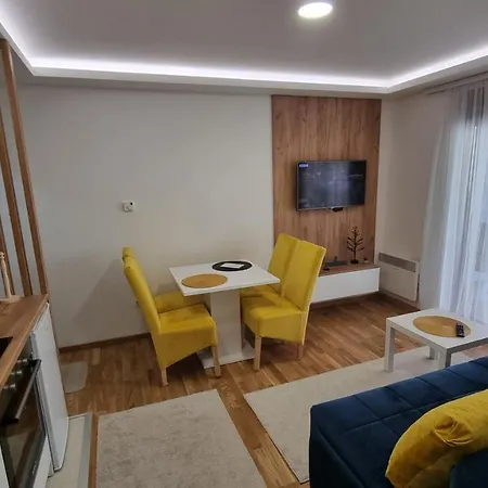 Pajevic * 즐라티보